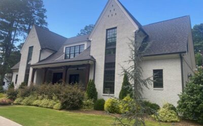 The Smart Choice: Why Mineral-Based Paints (Like Romabio) Offer Superior Value